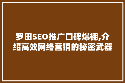 罗田SEO推广口碑爆棚,介绍高效网络营销的秘密武器