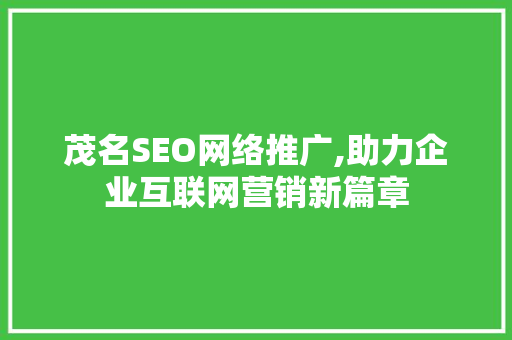茂名SEO网络推广,助力企业互联网营销新篇章