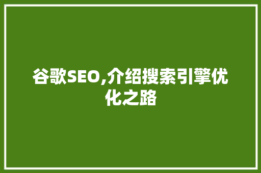 谷歌SEO,介绍搜索引擎优化之路