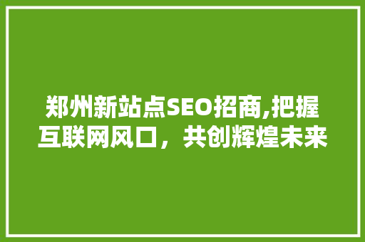 郑州新站点SEO招商,把握互联网风口，共创辉煌未来