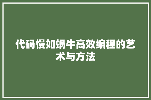 代码慢如蜗牛高效编程的艺术与方法
