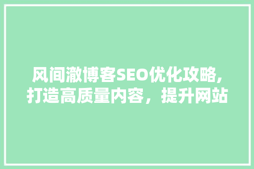 风间澈博客SEO优化攻略,打造高质量内容，提升网站排名