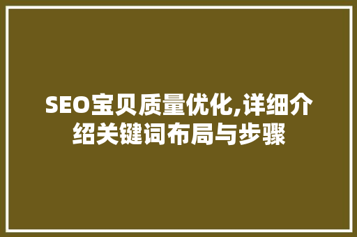 SEO宝贝质量优化,详细介绍关键词布局与步骤