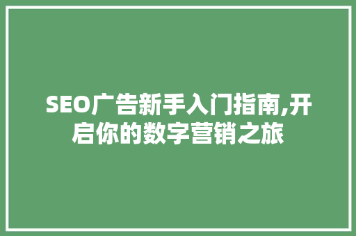 SEO广告新手入门指南,开启你的数字营销之旅