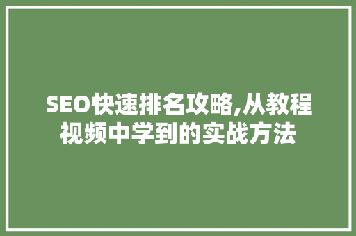 SEO快速排名攻略,从教程视频中学到的实战方法  第1张