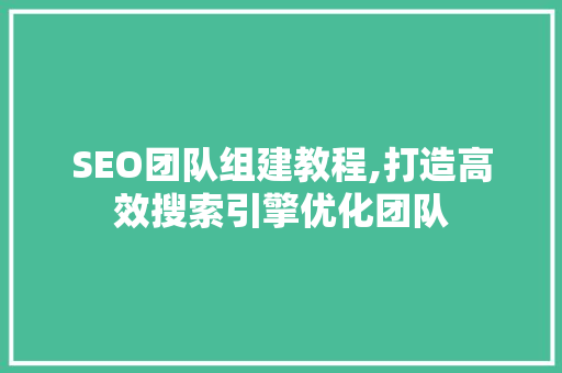 SEO团队组建教程,打造高效搜索引擎优化团队
