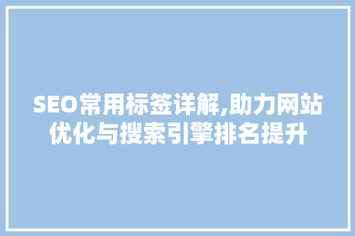 SEO常用标签详解,助力网站优化与搜索引擎排名提升  第1张