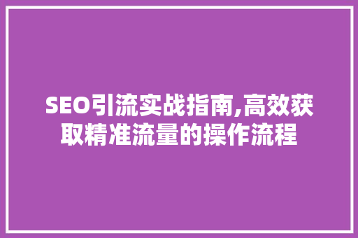 SEO引流实战指南,高效获取精准流量的操作流程  第1张