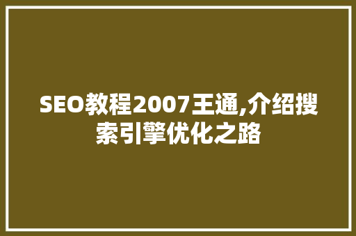 SEO教程2007王通,介绍搜索引擎优化之路