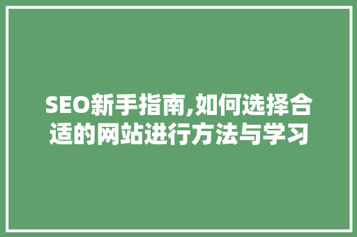 SEO新手指南,如何选择合适的网站进行方法与学习