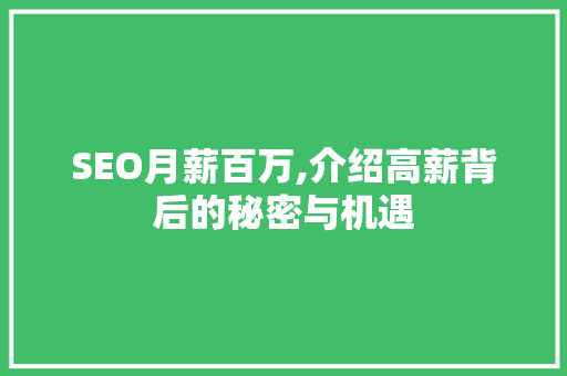 SEO月薪百万,介绍高薪背后的秘密与机遇