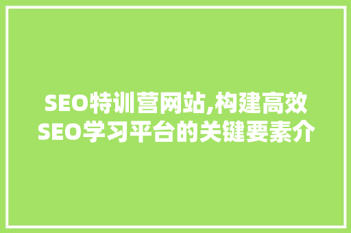 SEO特训营网站,构建高效SEO学习平台的关键要素介绍