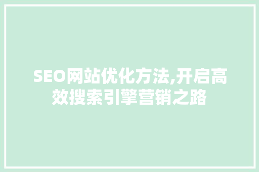SEO网站优化方法,开启高效搜索引擎营销之路