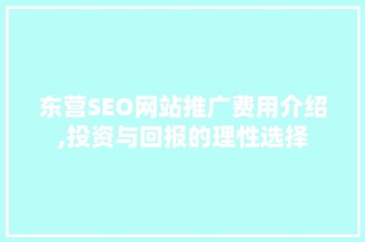 东营SEO网站推广费用介绍,投资与回报的理性选择