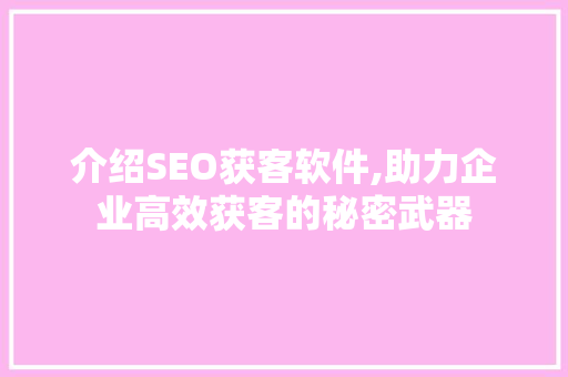 介绍SEO获客软件,助力企业高效获客的秘密武器