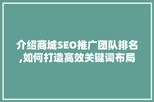 介绍商城SEO推广团队排名,如何打造高效关键词布局步骤