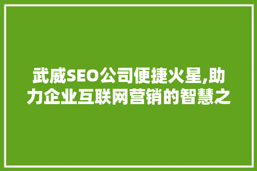 武威SEO公司便捷火星,助力企业互联网营销的智慧之光