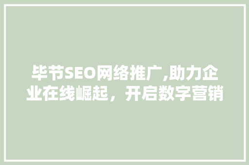 毕节SEO网络推广,助力企业在线崛起，开启数字营销新时代