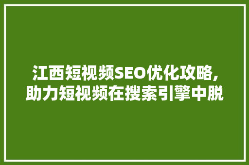 江西短视频SEO优化攻略,助力短视频在搜索引擎中脱颖而出