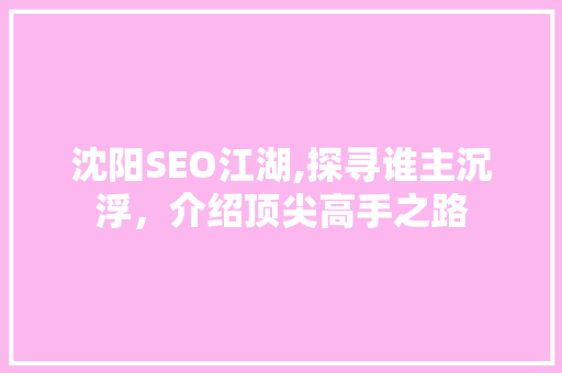 沈阳SEO江湖,探寻谁主沉浮，介绍顶尖高手之路