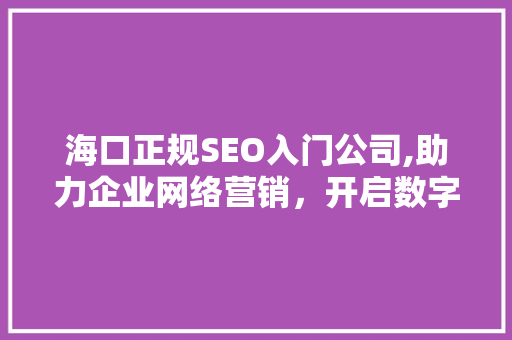 海口正规SEO入门公司,助力企业网络营销，开启数字时代新篇章