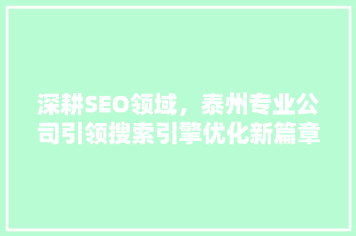 深耕SEO领域，泰州专业公司引领搜索引擎优化新篇章