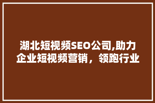 湖北短视频SEO公司,助力企业短视频营销，领跑行业新趋势  第1张