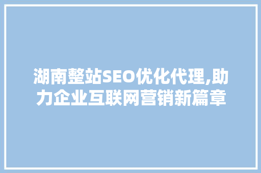 湖南整站SEO优化代理,助力企业互联网营销新篇章