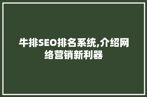 牛排SEO排名系统,介绍网络营销新利器  第1张
