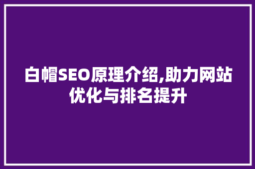 白帽SEO原理介绍,助力网站优化与排名提升