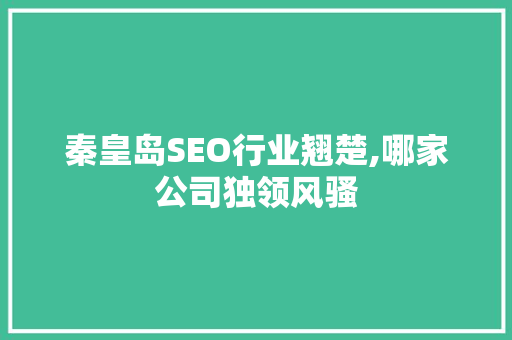 秦皇岛SEO行业翘楚,哪家公司独领风骚  第1张