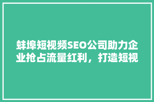 蚌埠短视频SEO公司助力企业抢占流量红利，打造短视频营销新格局