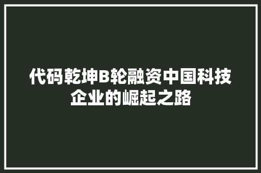 代码乾坤B轮融资中国科技企业的崛起之路