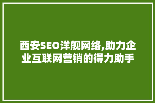 西安SEO洋舰网络,助力企业互联网营销的得力助手