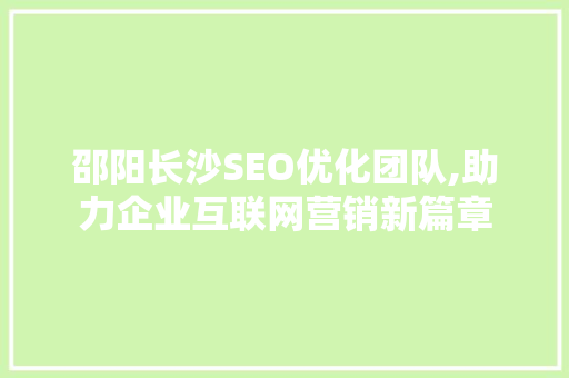 邵阳长沙SEO优化团队,助力企业互联网营销新篇章  第1张