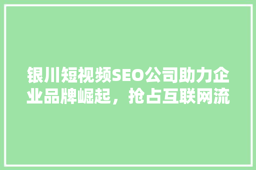 银川短视频SEO公司助力企业品牌崛起，抢占互联网流量高地