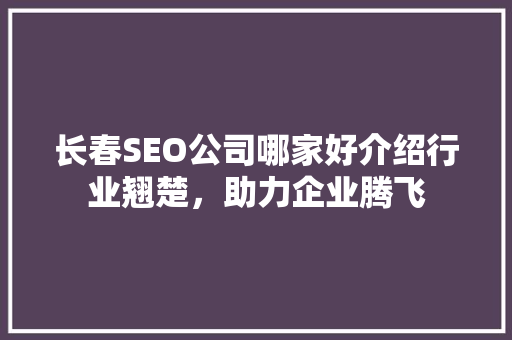 长春SEO公司哪家好介绍行业翘楚，助力企业腾飞