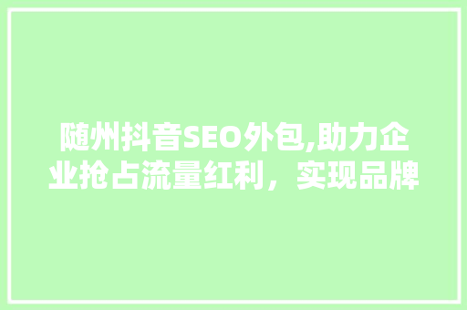 随州抖音SEO外包,助力企业抢占流量红利，实现品牌腾飞