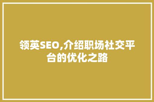 领英SEO,介绍职场社交平台的优化之路