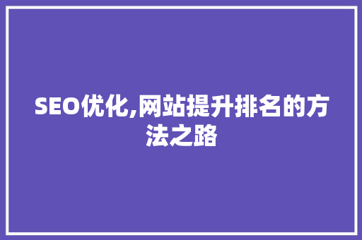 SEO优化,网站提升排名的方法之路