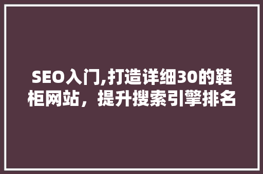 SEO入门,打造详细30的鞋柜网站，提升搜索引擎排名
