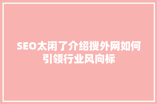 SEO太闲了介绍搜外网如何引领行业风向标