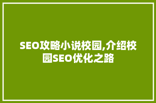 SEO攻略小说校园,介绍校园SEO优化之路