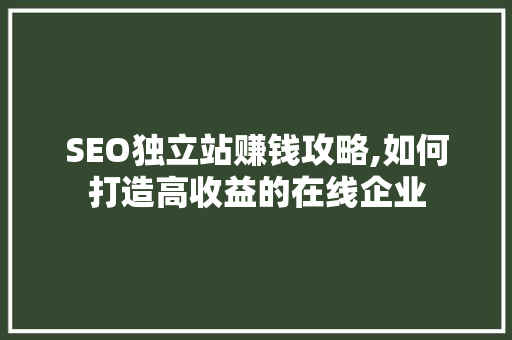 SEO独立站赚钱攻略,如何打造高收益的在线企业