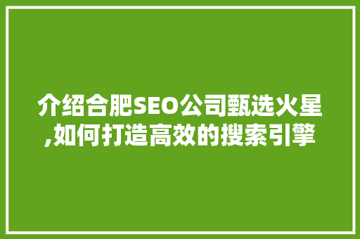 介绍合肥SEO公司甄选火星,如何打造高效的搜索引擎优化步骤