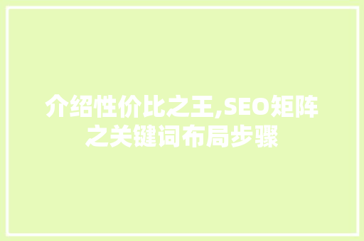 介绍性价比之王,SEO矩阵之关键词布局步骤