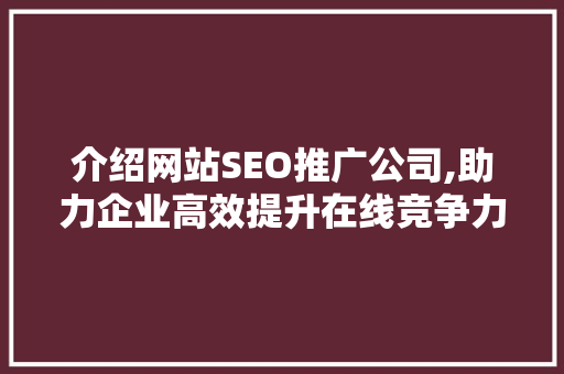 介绍网站SEO推广公司,助力企业高效提升在线竞争力