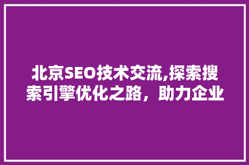 北京SEO技术交流,探索搜索引擎优化之路，助力企业腾飞