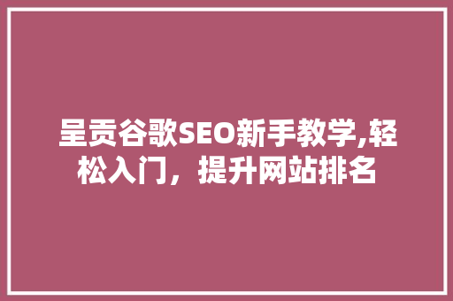 呈贡谷歌SEO新手教学,轻松入门，提升网站排名