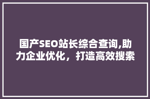国产SEO站长综合查询,助力企业优化，打造高效搜索引擎优化步骤